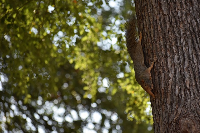 马奎尔：上赛季对每个人来说都很艰难，本赛季我们没有借口了